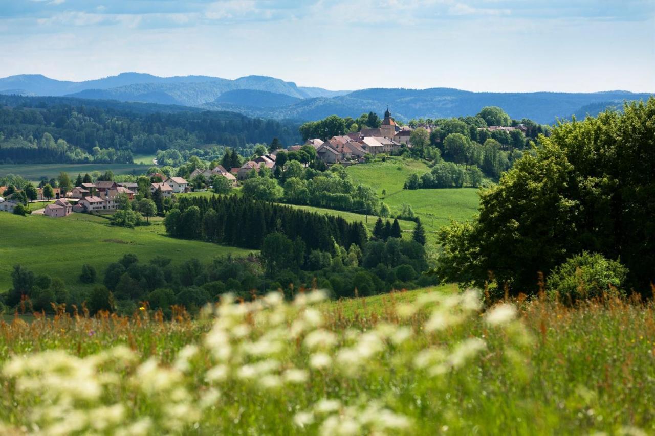 Apartment La Maison De La Douce Heure, 4 Climatises Avec Jardin Au Centre Proche Des Thermes Lons-le-Saunier