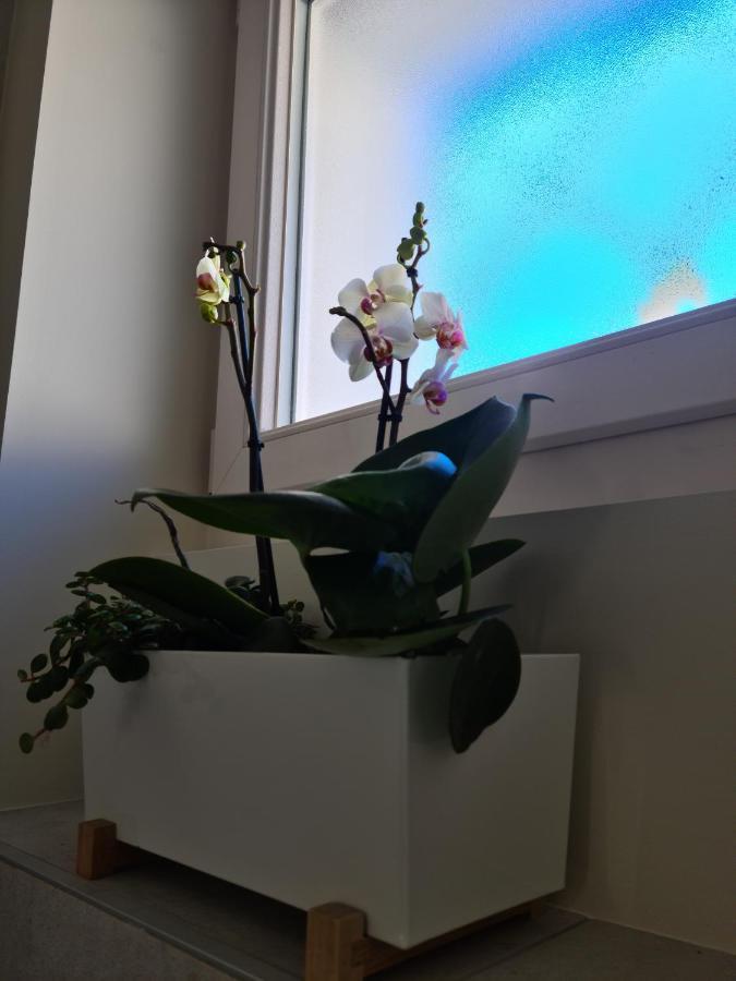 La Maison De La Douce Heure, 4 Climatises Avec Jardin Au Centre Proche Des Thermes Apartment *